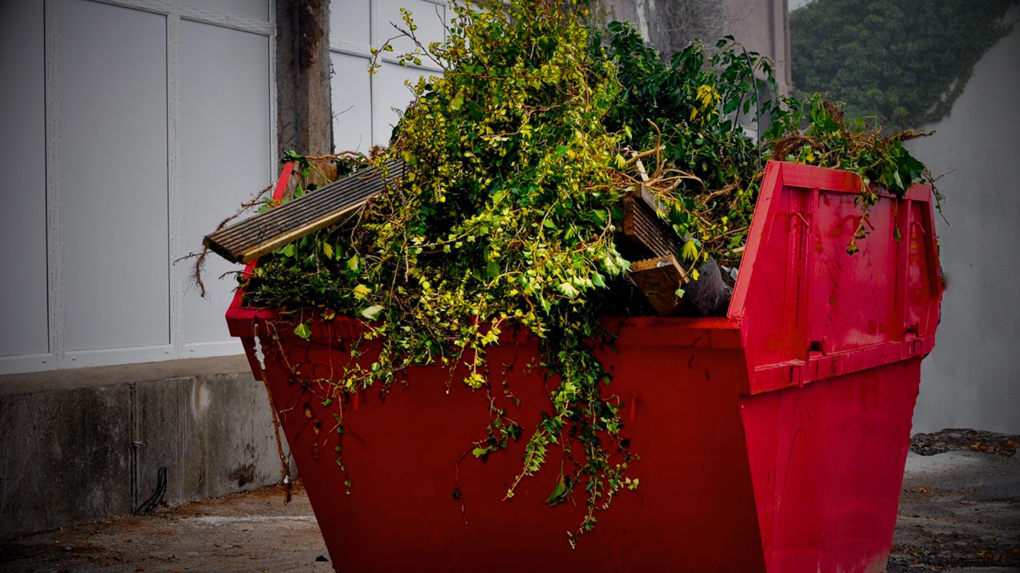 A red dumpster filled with plants, representing a unique combination of waste disposal and skip hire in Manchester