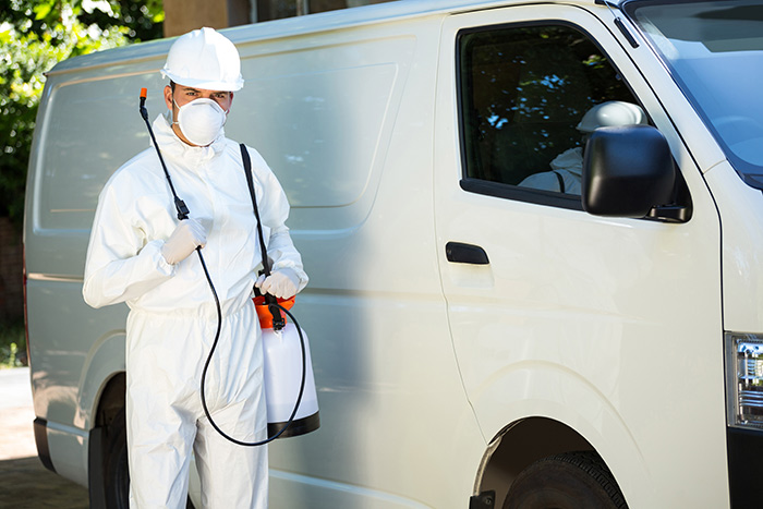 Clean, Safe, and Effective Pest Control in Provo, Utah