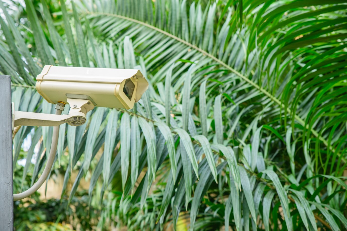 Choosing the Right CCTV Camera: Essential Features for Optimal Security