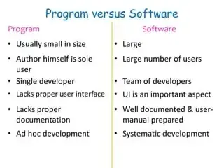 Software vs program