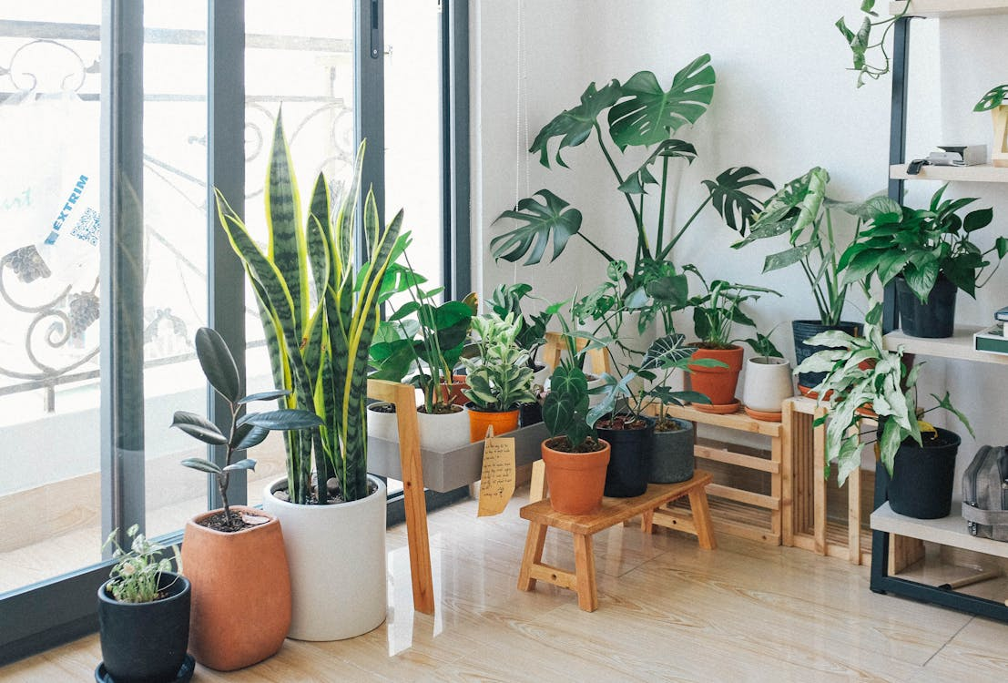 Apartment Zen: Creating a Relaxing and Tranquil Space for Everyday Living