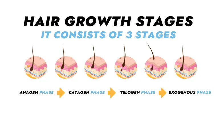 Insider Insights: Navigating the 3 Growth Phases in Hair Transplants