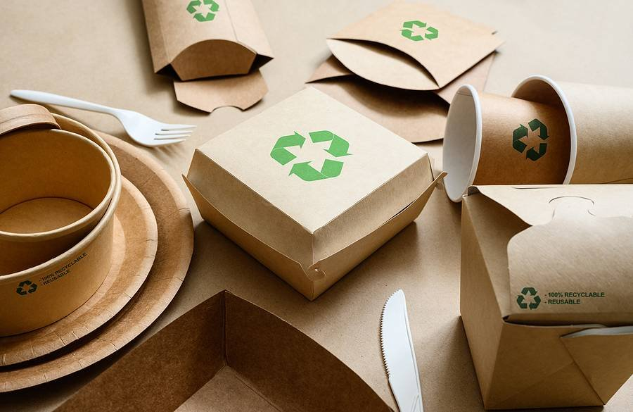 Eco-Friendly Feast: How Paper Packaging is Changing the Game