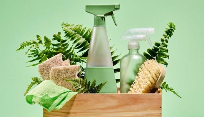 How Green Products Can Transform Your Home