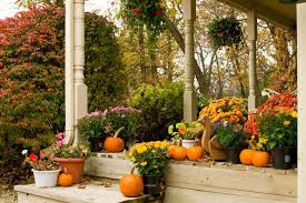 Autumn Blooms and Harvests: Fall Gardening Ideas for Florida Homes