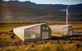 How Green Dispensaries Integrate Renewable Energy in Operations?