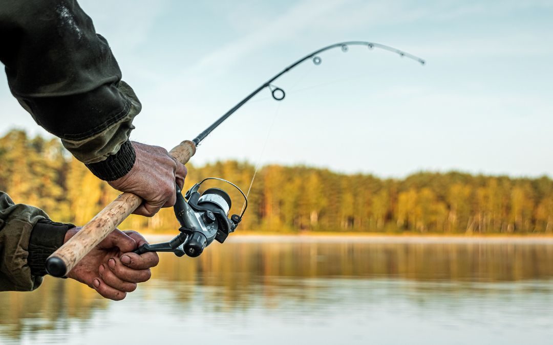 How to Choose the Right Fishing Equipment for New Environments